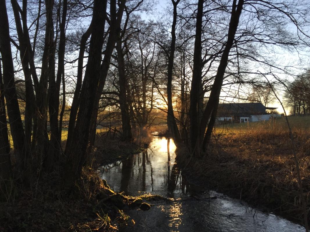Sunset at a stream