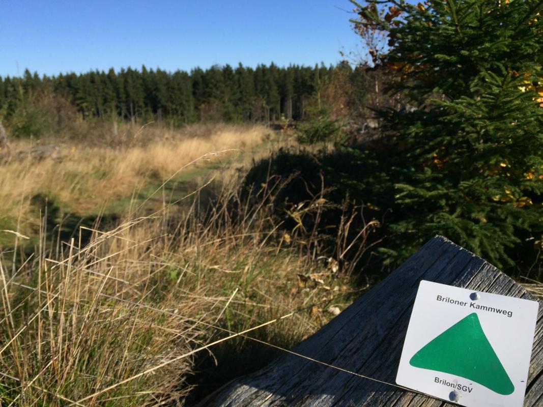 Briloner Kammweg Etappe 2