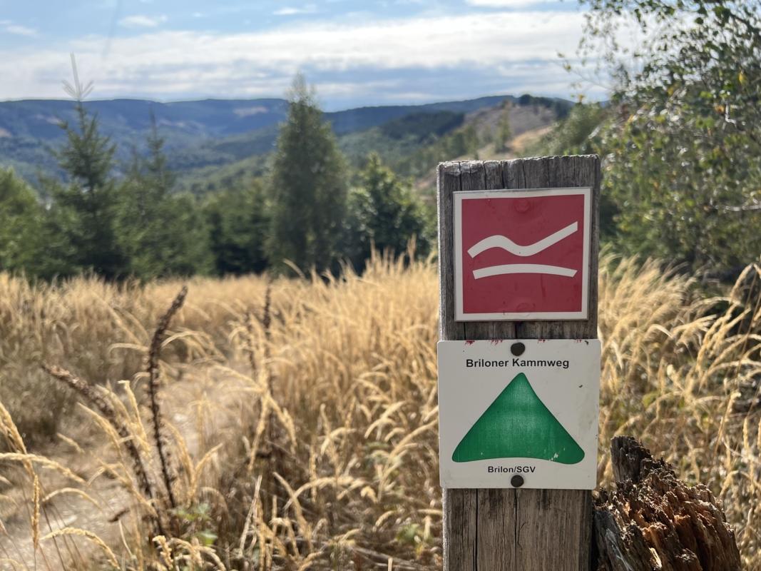 At Briloner Kammweg